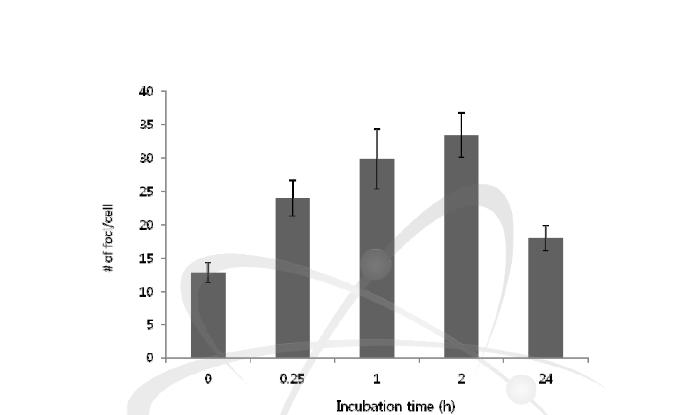 The plot for the linear dynamic range of γ-H2AX foci per cell following irradiation with 1 Gy gamma rays.