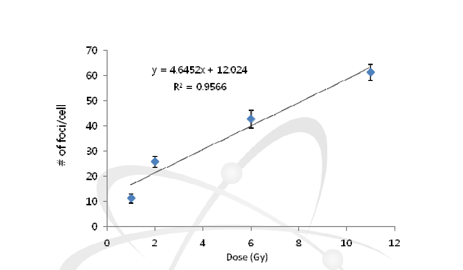 Dose-dependence of γ-H2AX foci formation in MCF-7 cell at 15 min post-irradiation.