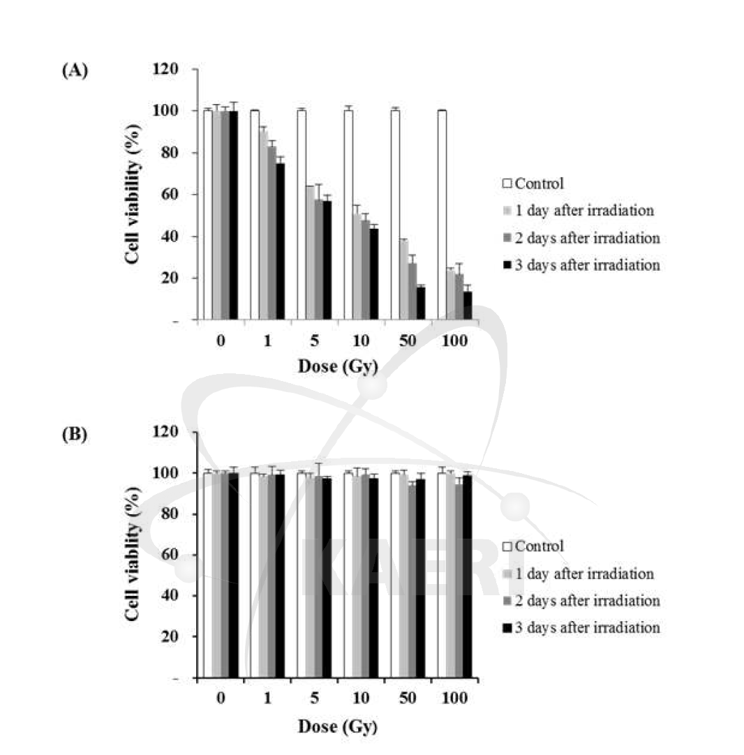 Radiation-induced cell viability on HepG2 cell by using Trypan blue assay (A) and MTT assay (B). Cells were plated on 96 well plates (1 x 104cells/well) for 1 day and then irradiated with 0– 100 Gy. After incubation for 1, 2 and 3 days, cell viability was measured by both assays, respectively. Data are mean±SD of triplicate determinations.