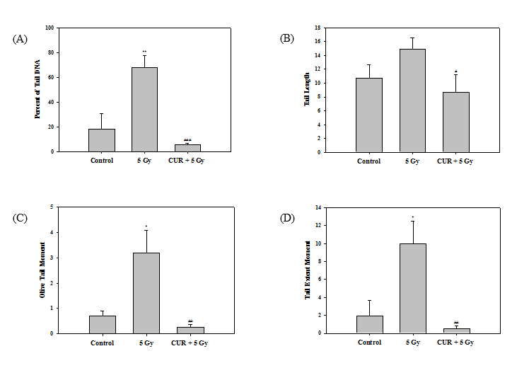 Effect of curcumin against IR-induced genotoxicity in HepG2 cells as measured by the Comet assay. HepG2 cells irradiated with 5 Gy. Data are represented as mean ± SD . (n=3). *p < 0.05, **p < 0.01 compared with control group.