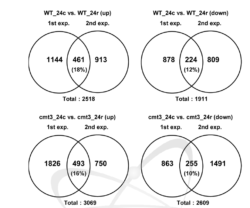 두 번의 독립적 실험에서 얻은 200 Gy 감마선조사 후 24시간에 WT과 cmt3 mutant의 차별적 발현 유전자(DEGs) 목록 비교.