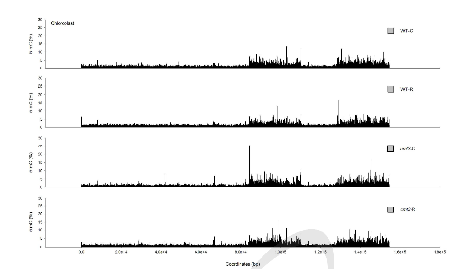 애기장대 WT과 cmt3-11t mutant에서 200 Gy 감마선조사 후 chloroplast genome의 locus별 메틸화 변화.