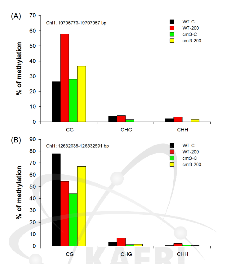 200 Gy 감마선조사 후 WT과 cmt3-11t mutant의 chromosome 1번의 서로 다른 locus에서 cytosines(C, CG, CHG, CHH) 메틸화 수준 변화 비교.