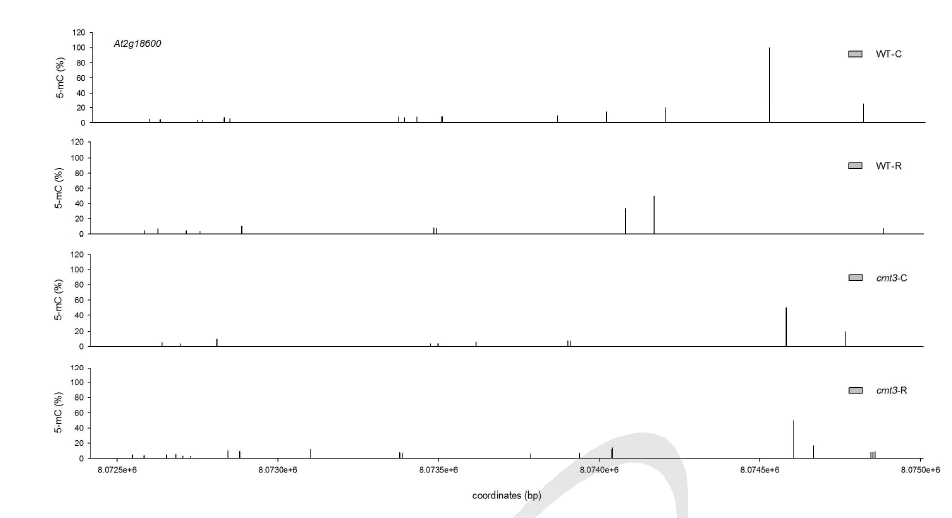 200 Gy 감마선조사 후 WT과 cmt3-11t mutant genome의 At2g18600 locus에서 cytosines 메틸화 수준 변화 비교.