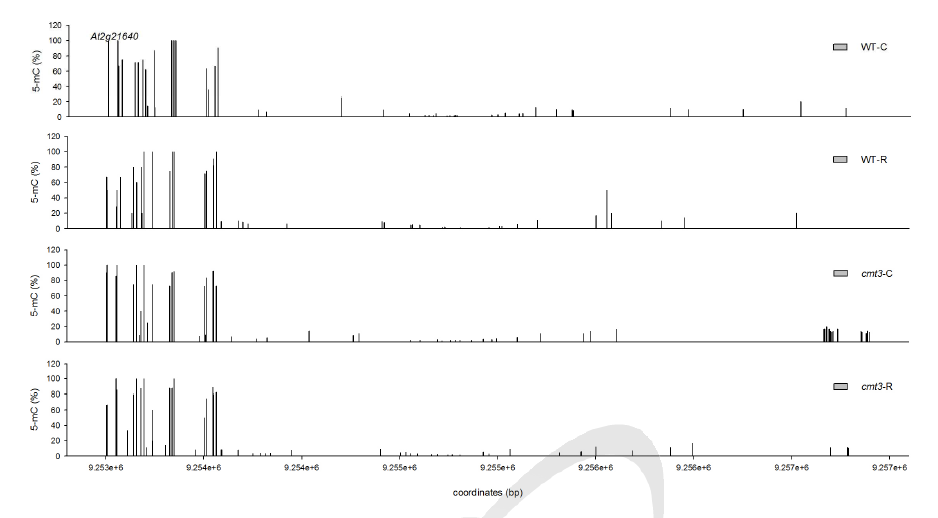 200 Gy 감마선조사 후 WT과 cmt3-11t mutant genome의 At2g21640 locus에서 cytosines 메틸화 수준 변화 비교.