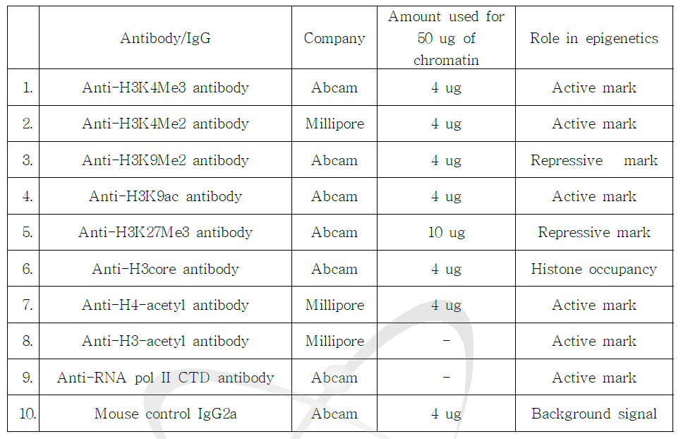 ChIP 연구에 사용된 항체(antibody)