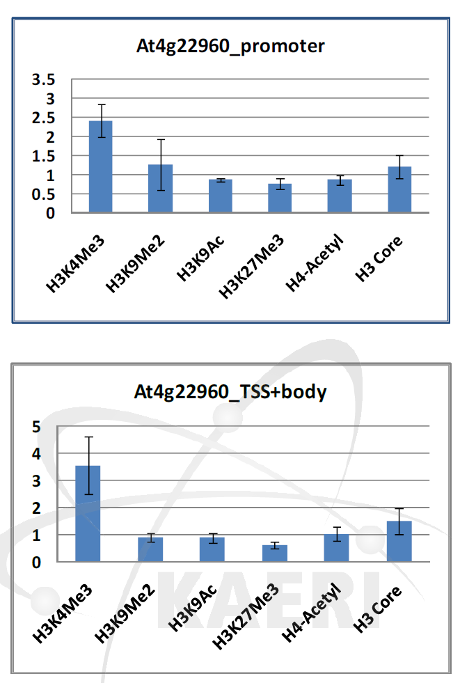 감마선 조사 후 At4g22960 promoter(위)와 At4g22960 TSS+body(아래)에서 후성유전 chromatin 마커들의 위치 점유율 변화.