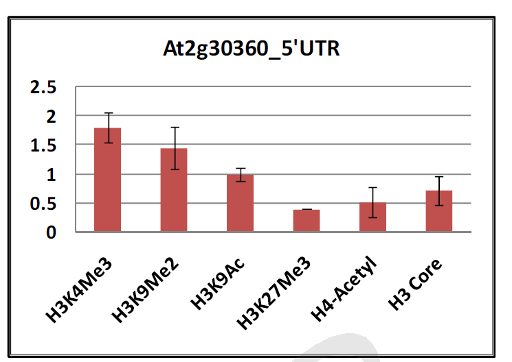 감마선 조사 후 At2g30360의 5-UTR 부위의 후성유전 chromatin 마커들의 위치 점유율 변화.