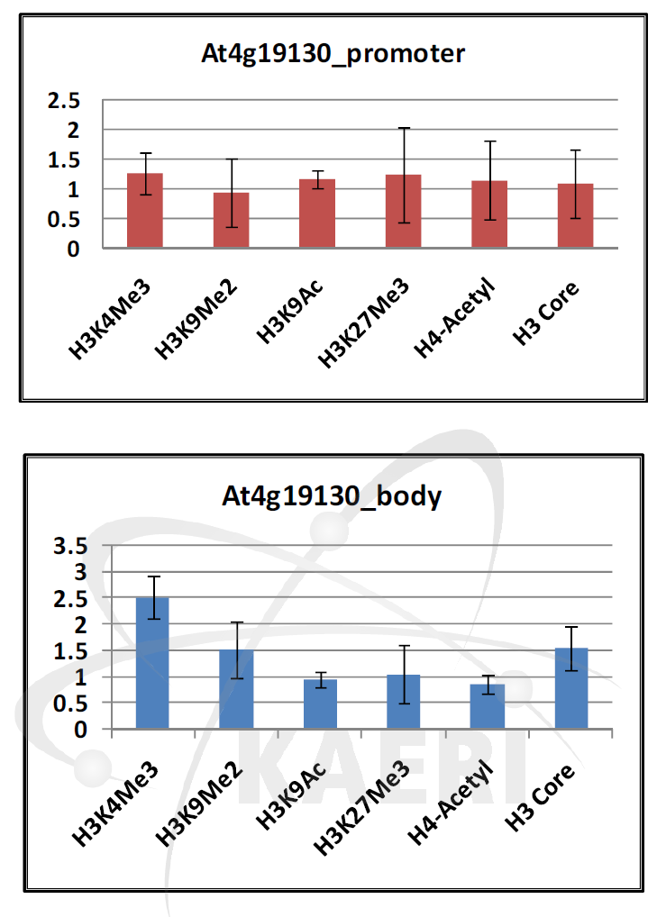 감마선 처리 후 At4g19130 promoter 부위(위)와 At4g19130 body 부위(아래)에서 후성유전 chromatin 마커들의 위치 점유율(site occupancy) 변화.