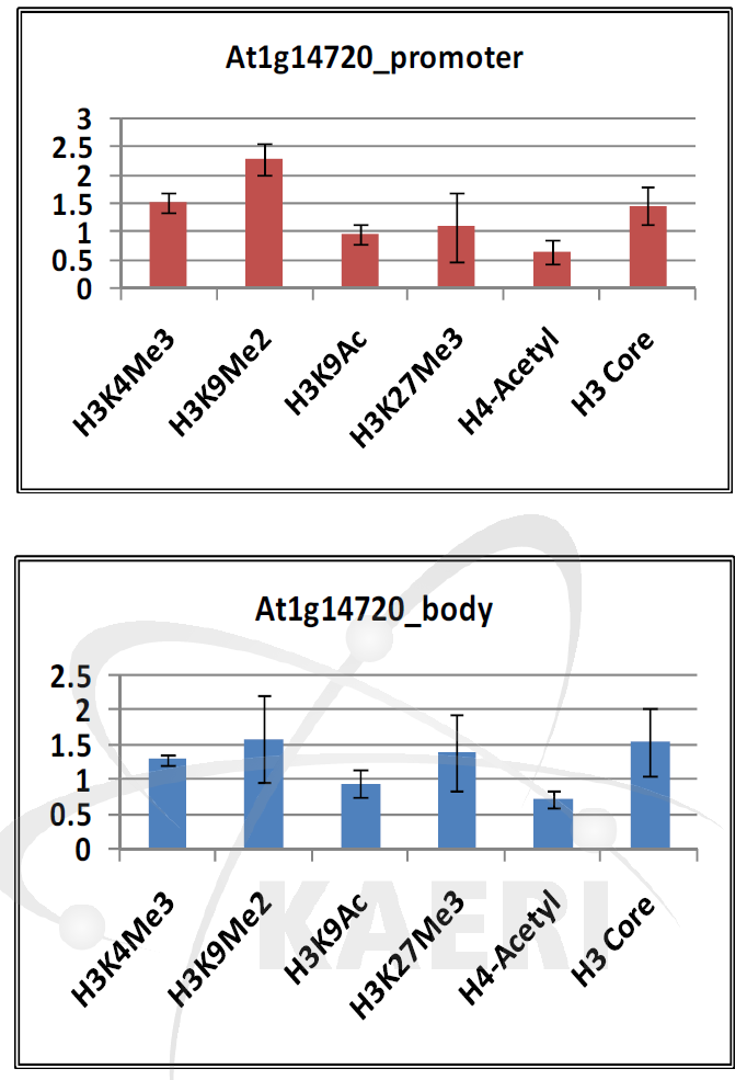 감마선 조사 후 At1g1472의 promoter(위)와 body(아래)에서 후성유전 chromatin 마커들의 위치 점유율 변화