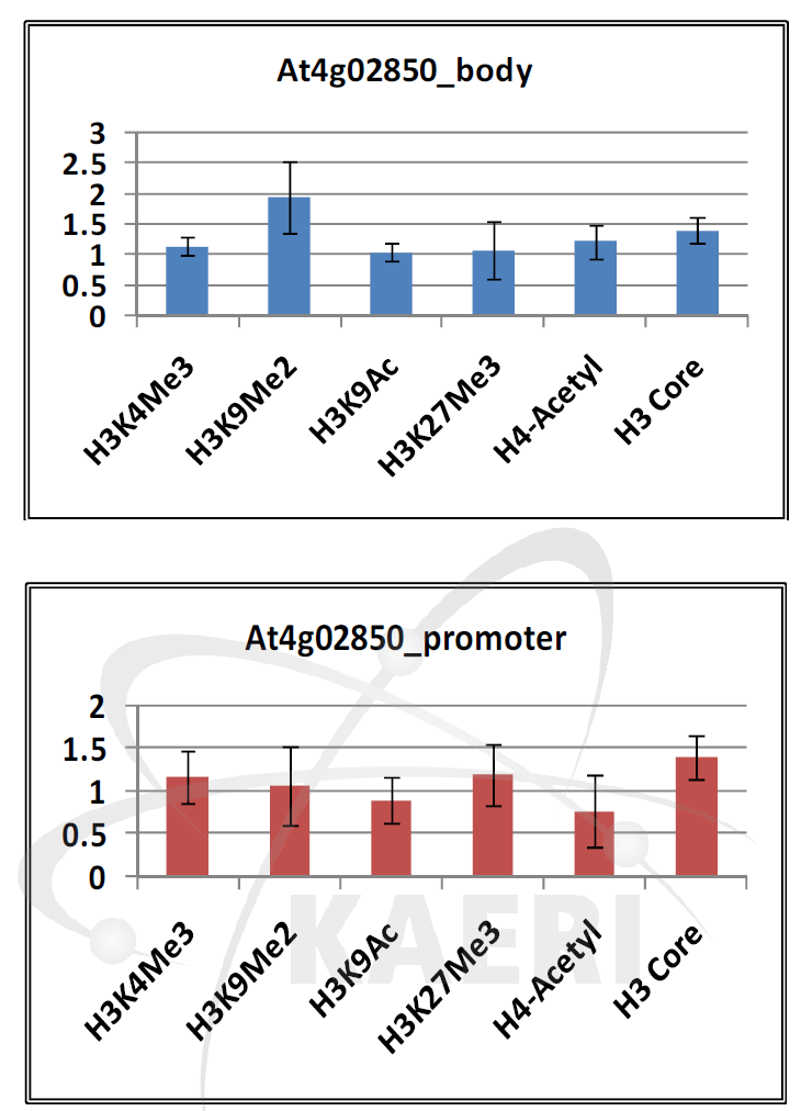 감마선 조사 후 At4g02850 body 부위(위)와 At4g02850 promoter 부위(아래)에서 후성유전 chromatin 마커들의 위치 점유율 변화.