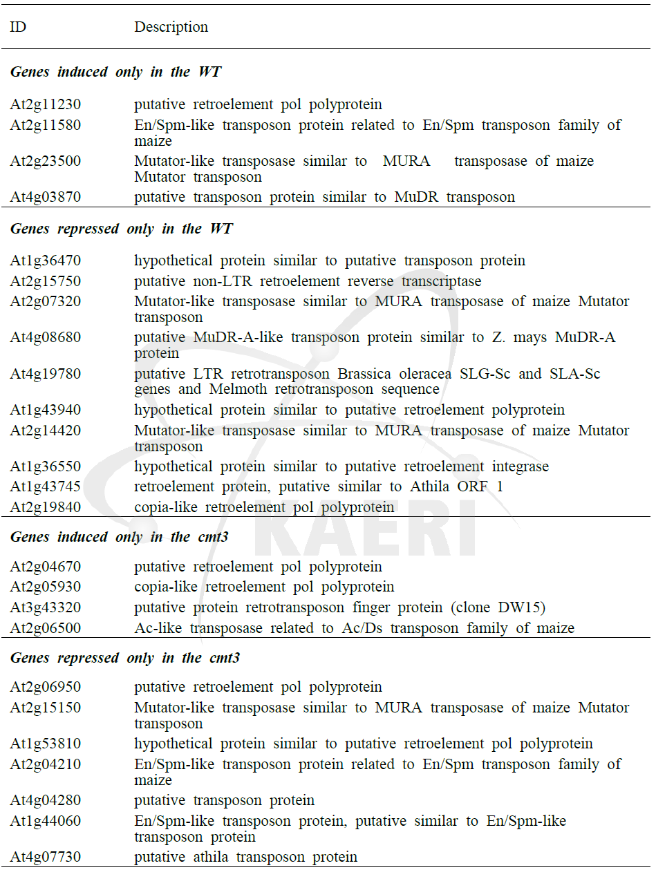 감마선 200 Gy 조사후 5일째 WT과 cmt3-11t mutant에서 2배 이상 변화를 보이는 transposition 관련 유전자들의 목록.