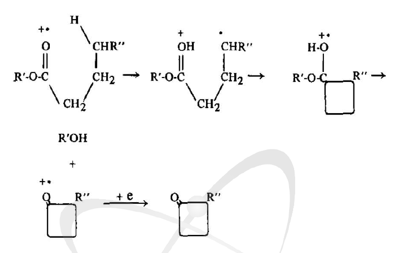 방사선에 의한 지방 분해산물인 2-alkylcyclobutanones 생성 기작