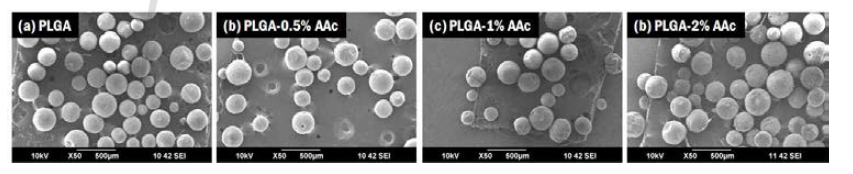 아크릴산 그라프트 전·후의 PLGA 미립구의 SEM 관측 결과