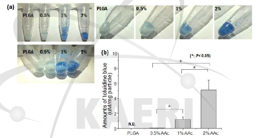 톨루이딘블루오 염색을 이용한 아크릴산의 그라프트 변화(a)와 그라프트율 정량 (b)