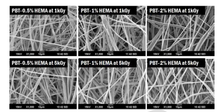 방사선 조사에 의한 PBT-HEMA 시트의 SEM 표면 사진