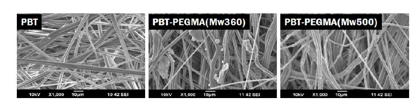 감마선 전조사를 이용하여 PBT-PEGMA 시트의 SEM 표면 사진