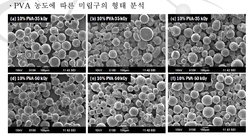 PVA 미립구의 SEM 이미지