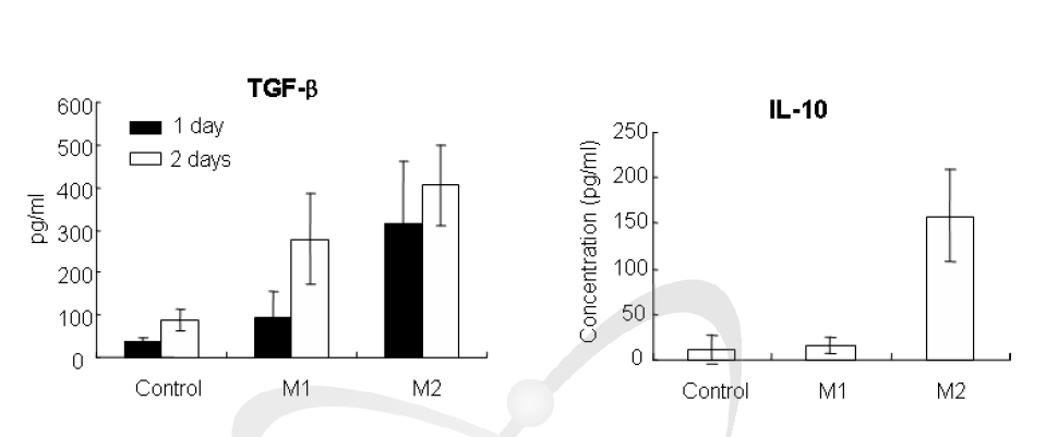 폐 대식세포(MH-S)의 M1 또는 M2 macrophage로 분화 후 분비되는 TGF-β와 IL-10 분석