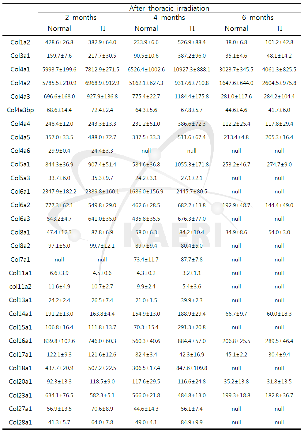 흉부 방사선 조사 후 경과 기간별 폐 조직내 발현하는 collagen mRNA 발현 비교