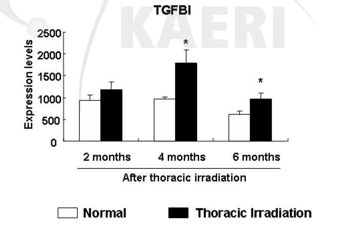 흉부 방사선 조사 후 기간별 폐 조직내 TGFBI mRNA 발현 변화 비교 (M icroarray analysis). n=5∼7마리