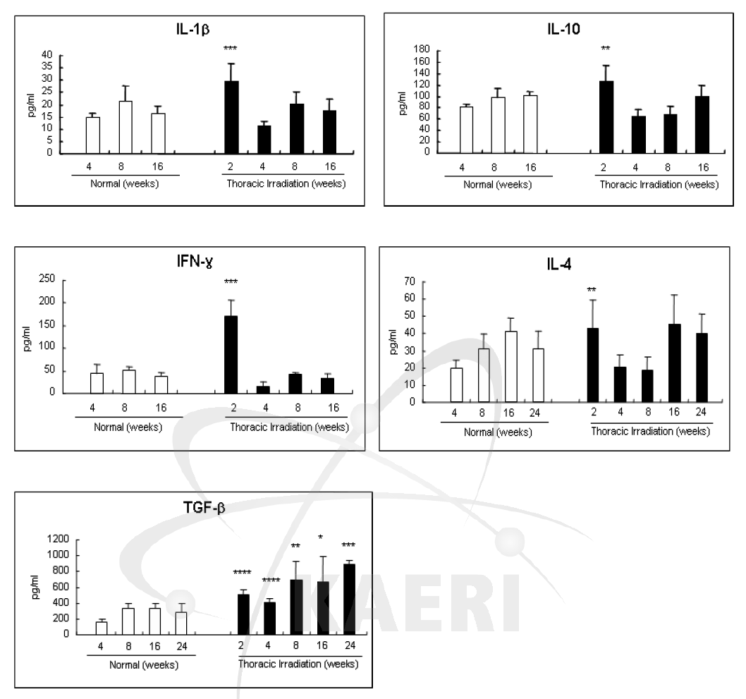 흉부 방사선 조사 후 경과 기간별 폐 조직내 염증성 및 섬유화 관련 cytokine 발현 양상 분석