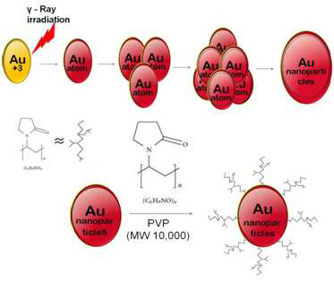 Scheme of preparation of Gold nanoparticle with gamma irradiation