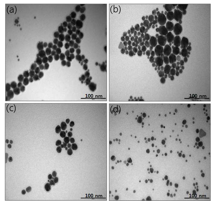 TEM images of GNP prepared by gamma irradiation with various doses; (a) GNP 10A, (b) GNP 10B, (c) GNP 10C, (d) GNP 10D; A: 10 kGy, bB: 15 kGy, bC: 20 kGy, bD: 25 kGy cAbsorbed dose rates of 10 kGyhr-1