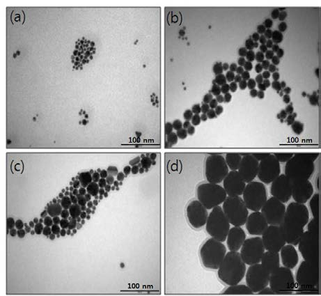 TEM images of GNP prepared by gamma irradiation with various concentration of HAuCl4 : (a) GNP 4mM, (b) GNP 10mM, (c) GNP 20mM, (d) GNP 20mM, Irradiation condition: 10 kGy, cAbsorbed doses of 10 kGyhr-1