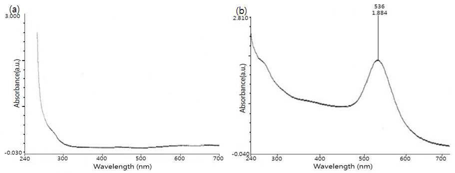 Typical absorbance spectrum of HAuCl3 solution(a) and gold nanoparticle(b).