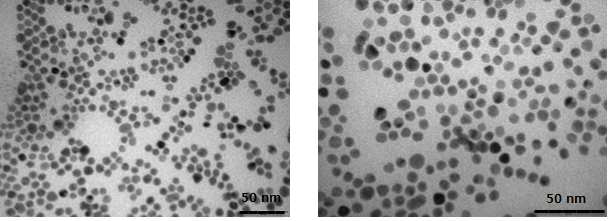 TEM images of cRGD-GBP-GNP