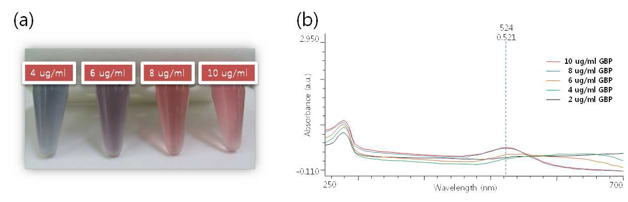 Effect of GBP1 concentration on the aggregation of GNP: (a) visual and (b) spectrometric analysis data