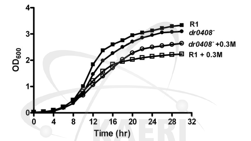 DR0408 변이체의 삼투압 저항성 분석