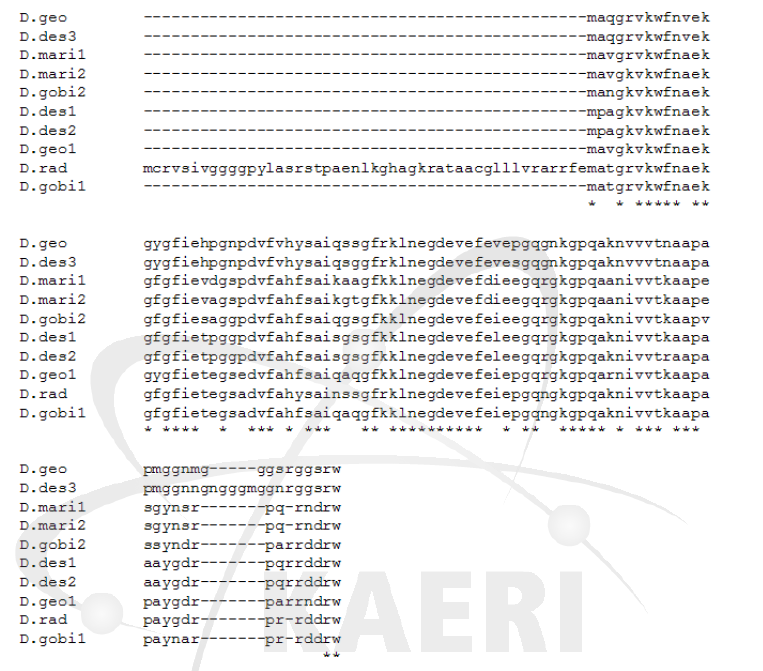 Deinococcus PprM 단백질의 아미노산 서열 비교