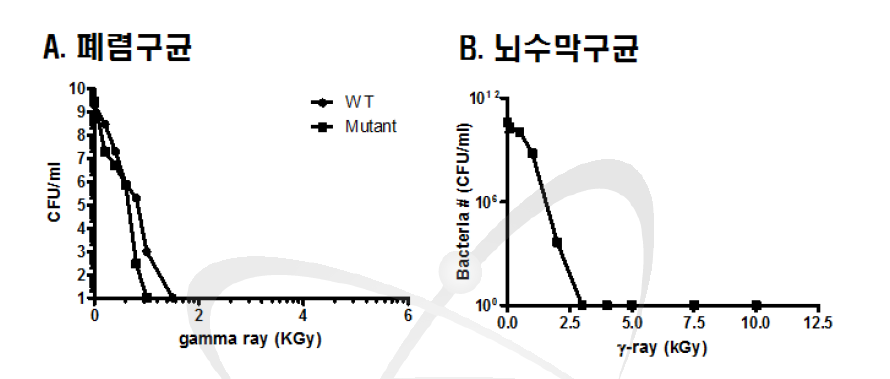 폐렴구균과 뇌수막구균의 D10 값