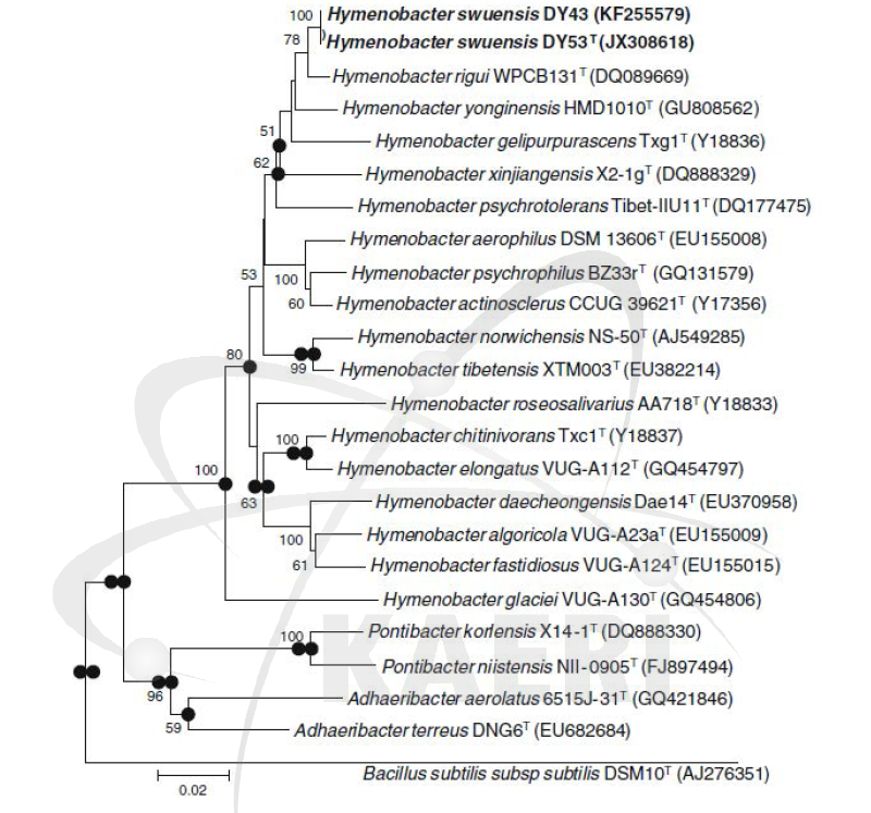 신종 방사선 저항성 Hymenobacter swuensis의 계통발생 분석