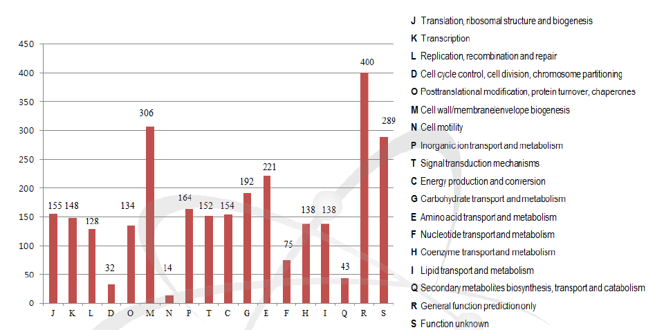 Hymenobacter swuensis의 유전체의 COG분석 결과