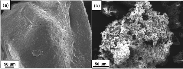 SEM morphologies of as-synthesized Ni precursors prepared (a) without PVA and (b) with PVA content of 4:1 ratio.