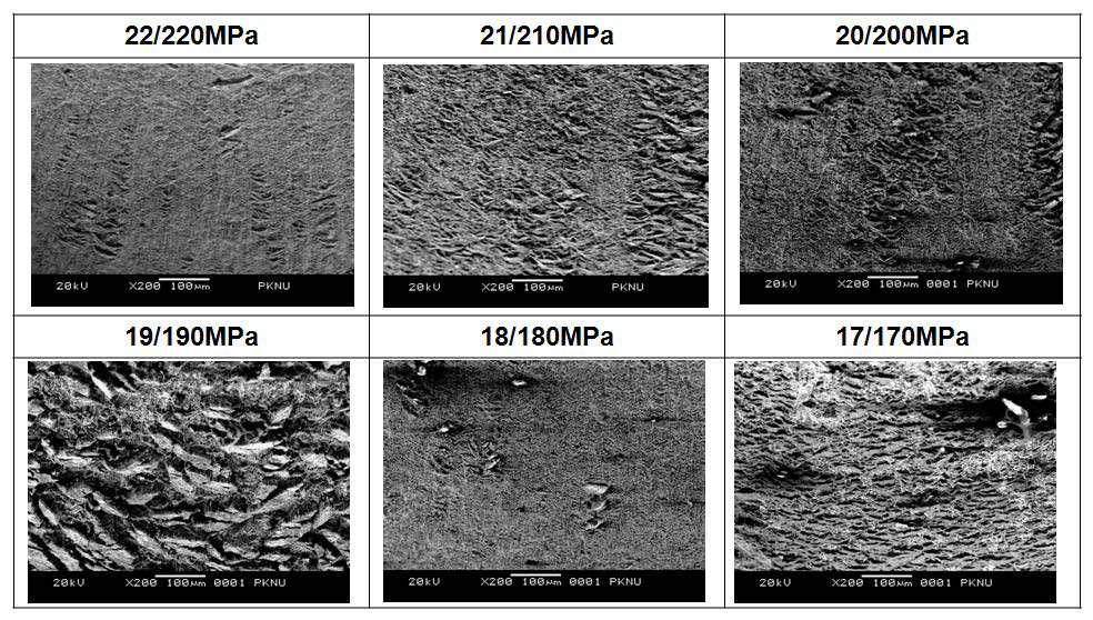 SEM fractographs on outer sides of six specimens (22MPa/220MPa, 21MPa/210MPa, 20MPa/200MPa, 19MPa/190MPa, 18MPa/180MPa, 17MPa/170MPa) ruptured by cyclic creep tests