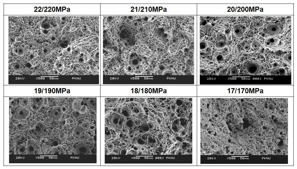 SEM fractographs on core sides (inner side) of six specimens (22MPa/220MPa, 21MPa/210MPa, 20MPa/200MPa, 19MPa/190MPa, 18MPa/180MPa, 17MPa/170MPa) ruptured by cyclic creep tests