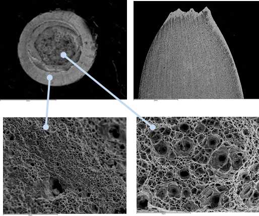 structures of a ruptured specimens after cyclic creep tests under hold times of 1min at R=0.80