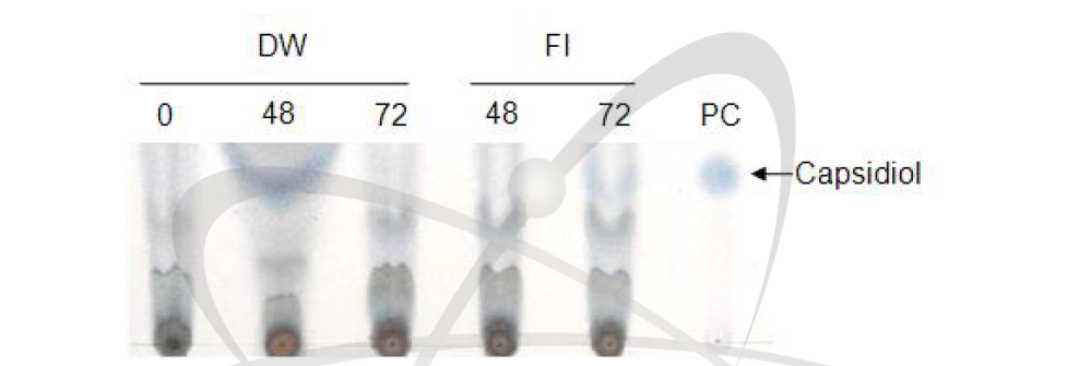 TLC 분석을 통한 고추의 capsidiol 추출법 검증
