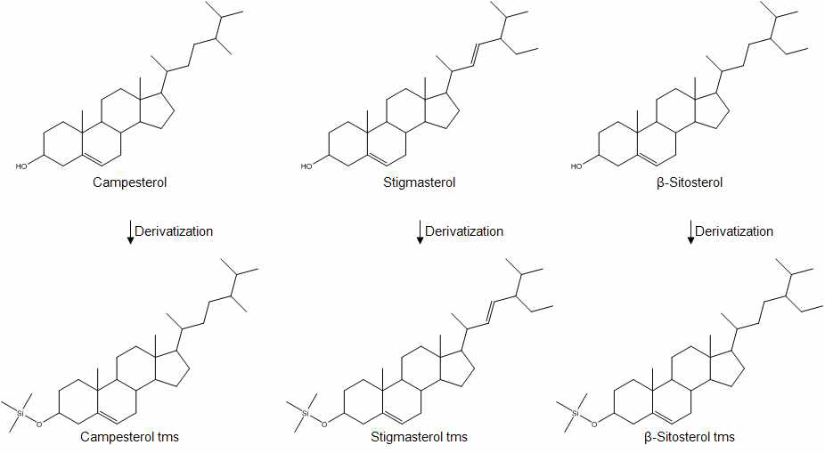 식물체에 존재하는 세 종류의 phytosterol 구조와 derivatization 후의 구조.