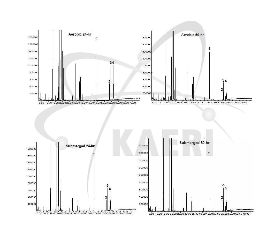 Submergence 처리 후 GC-MS 분석을 이용한 chromatogram. 1, 1-hexacosanol tms; 2, campesterol tms; 3, stigmasterol tms; 4, β-sitosterol tms.