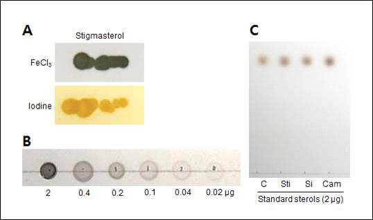 Phytosterol의 TLC 분석을 위한 TLC 염색. (A) FeCl3/H2SO4 용액 및 iodine을 이용한 염색. (B) FeCl3/H2SO4 용액을 이용한 농도별 stigmasterol의 염색. (C) Sterol compound들의 TLC 전개 후 염색. C, cholesterol; Sti, stigmasterol; Si, β-sitosterol; Cam, campesterol