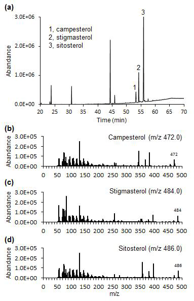 식물스테롤 추출 후 GC/MS 분석. (a) GC chromatogram 결과. (b) Campesterol의 MS spectrum 결과. (c) Stigmasterol의 MS spectrum 결과. (d) Sitosterol의 MS spectrum 결과.