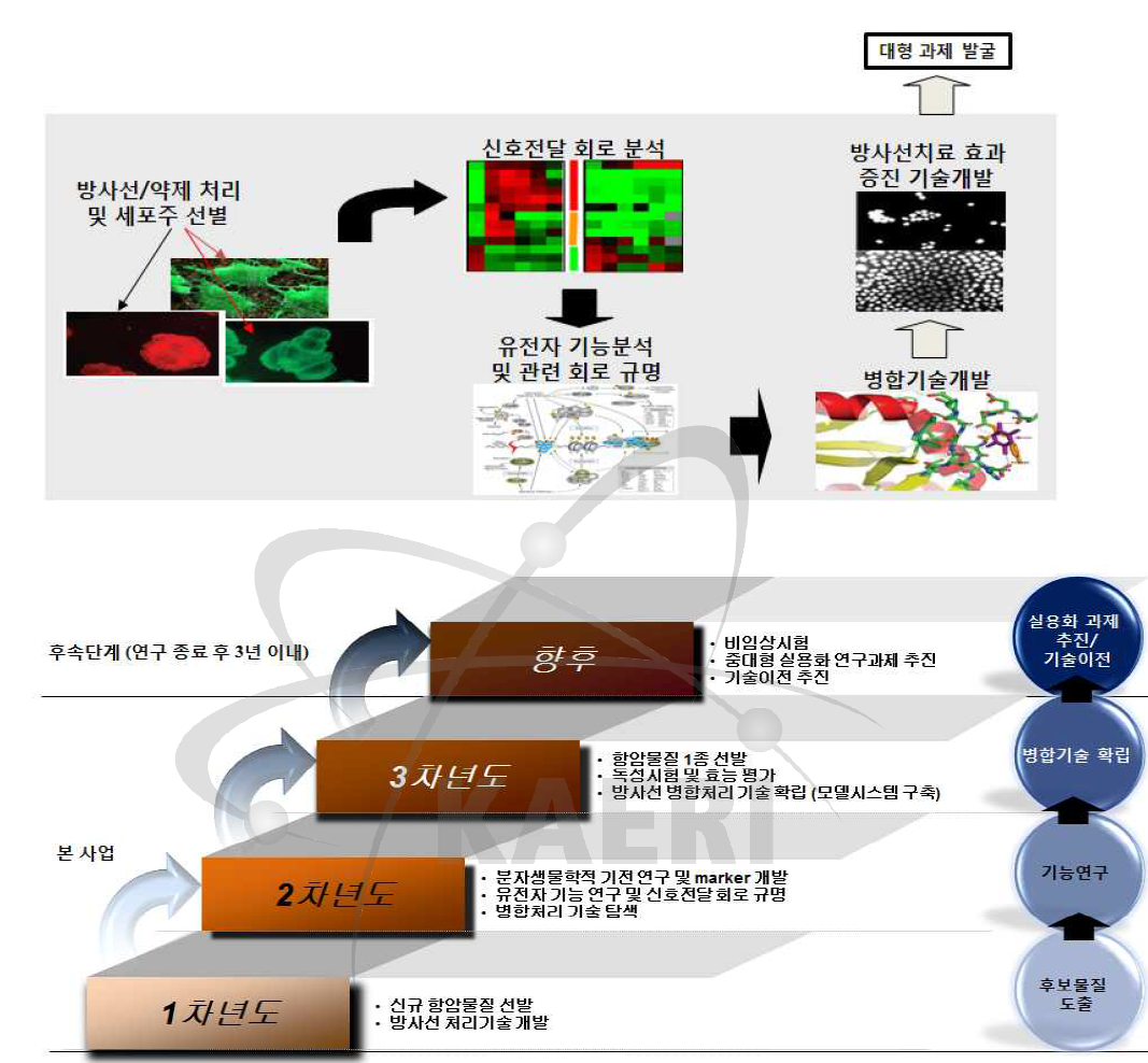 연구개발 추진체계