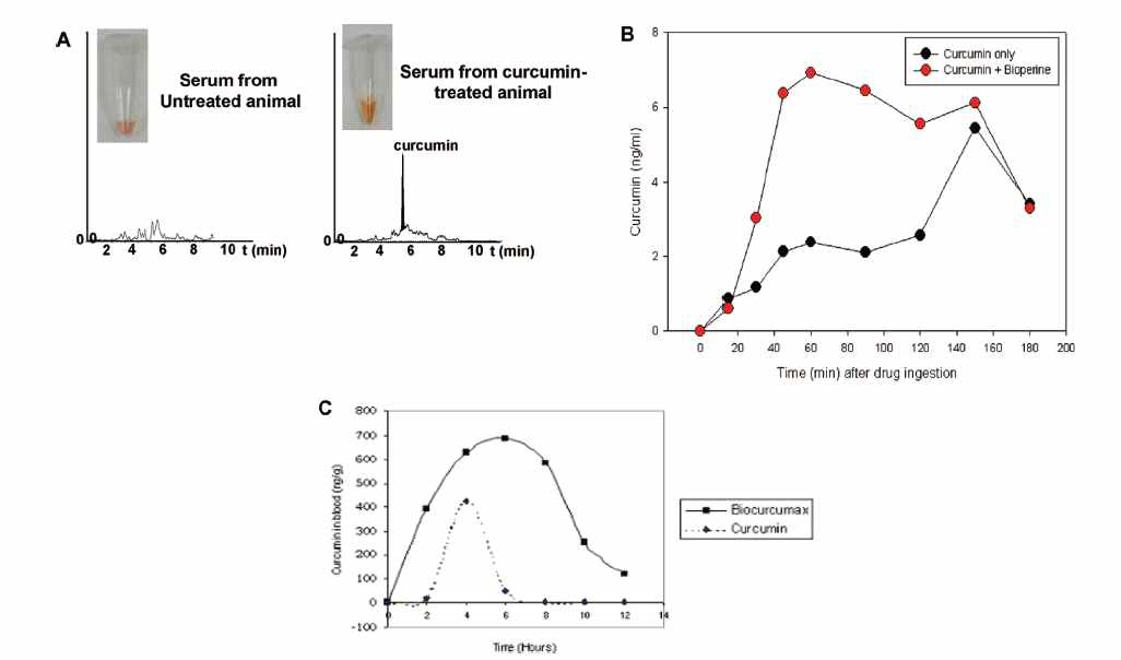 피페린에 의한 커큐민의 생체내 이용성 증가