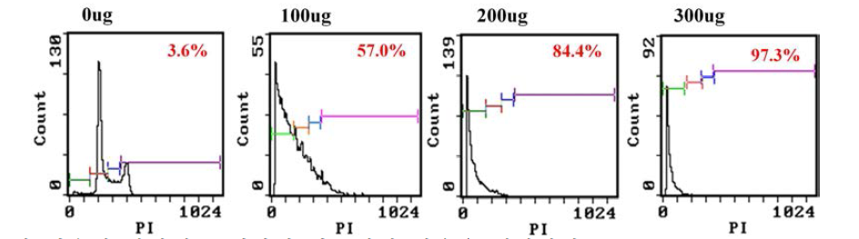 HCT116에서의 Moringa 추출물 처리에 의한 FACS analysis