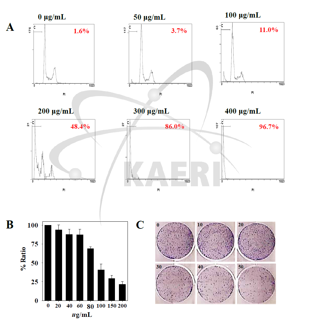 HepG2에서의 Moringa 추출물 처리에 의한 FACS analysis